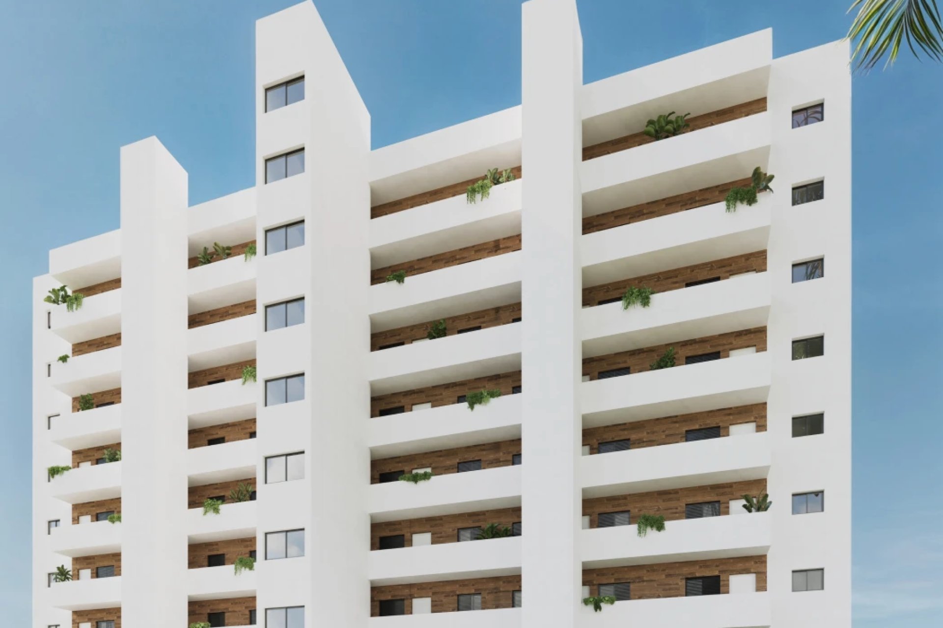 Obra nueva - Apartamento - Benidorm