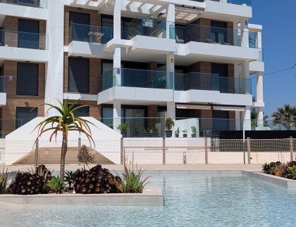 Ático · Obra nueva - Denia · Alicante · España