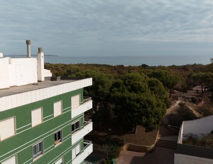Apartamento · Obra nueva - Guardamar del Segura · Alicante · España