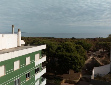 Apartamento · Obra nueva - Guardamar del Segura · Alicante · España
