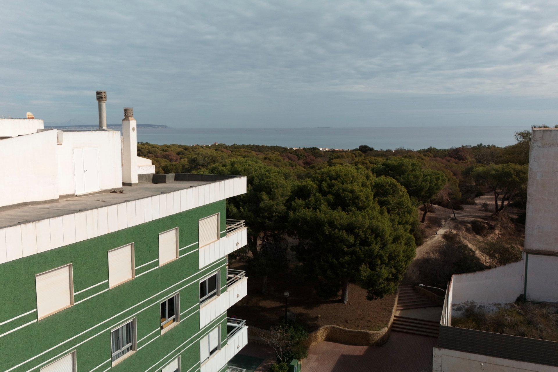 Obra nueva - Apartamento - Guardamar del Segura