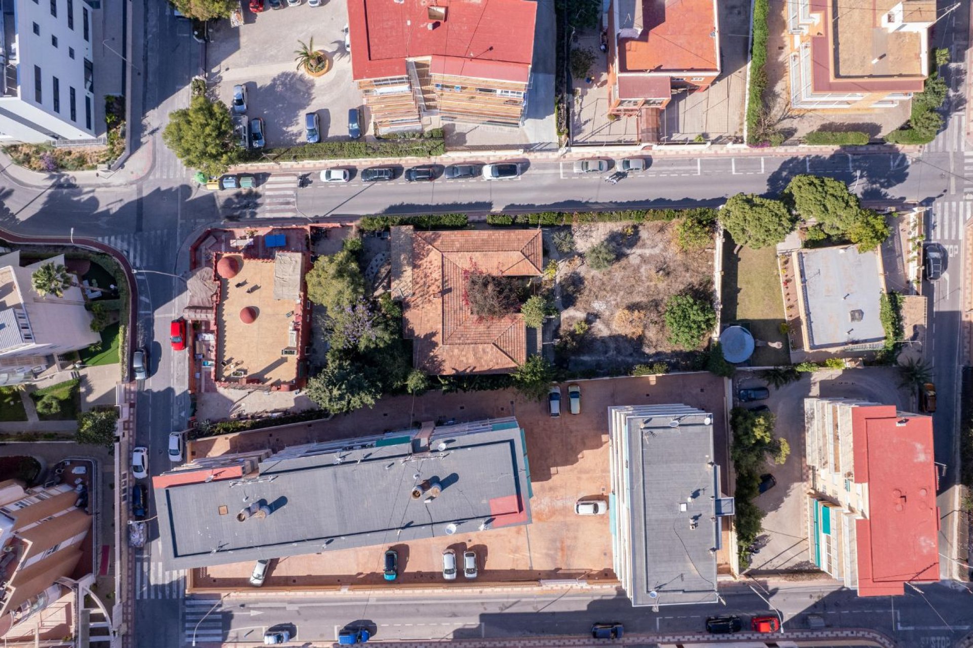 Obra nueva - Apartamento - El Campello