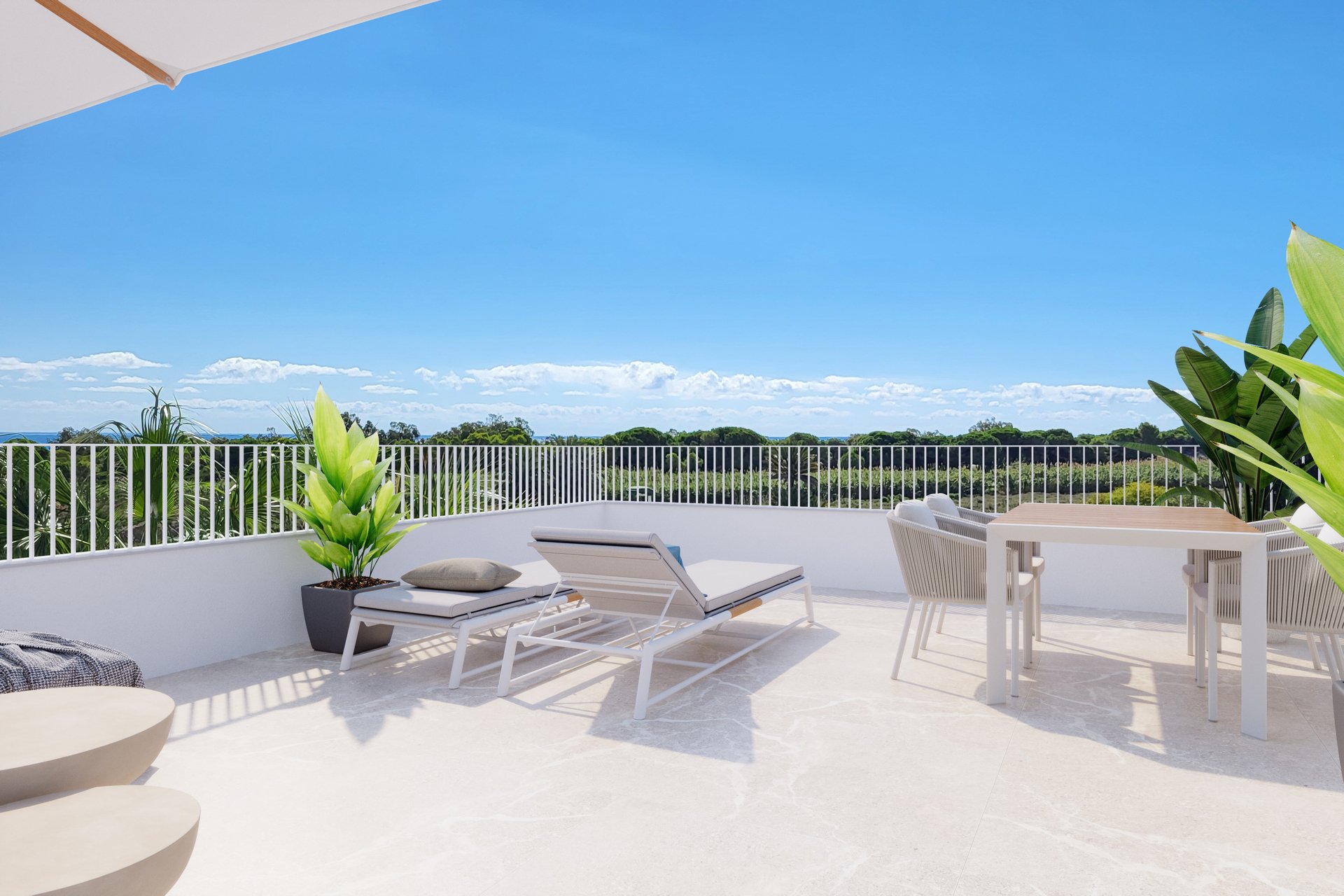 Obra nueva - Casa - Elche