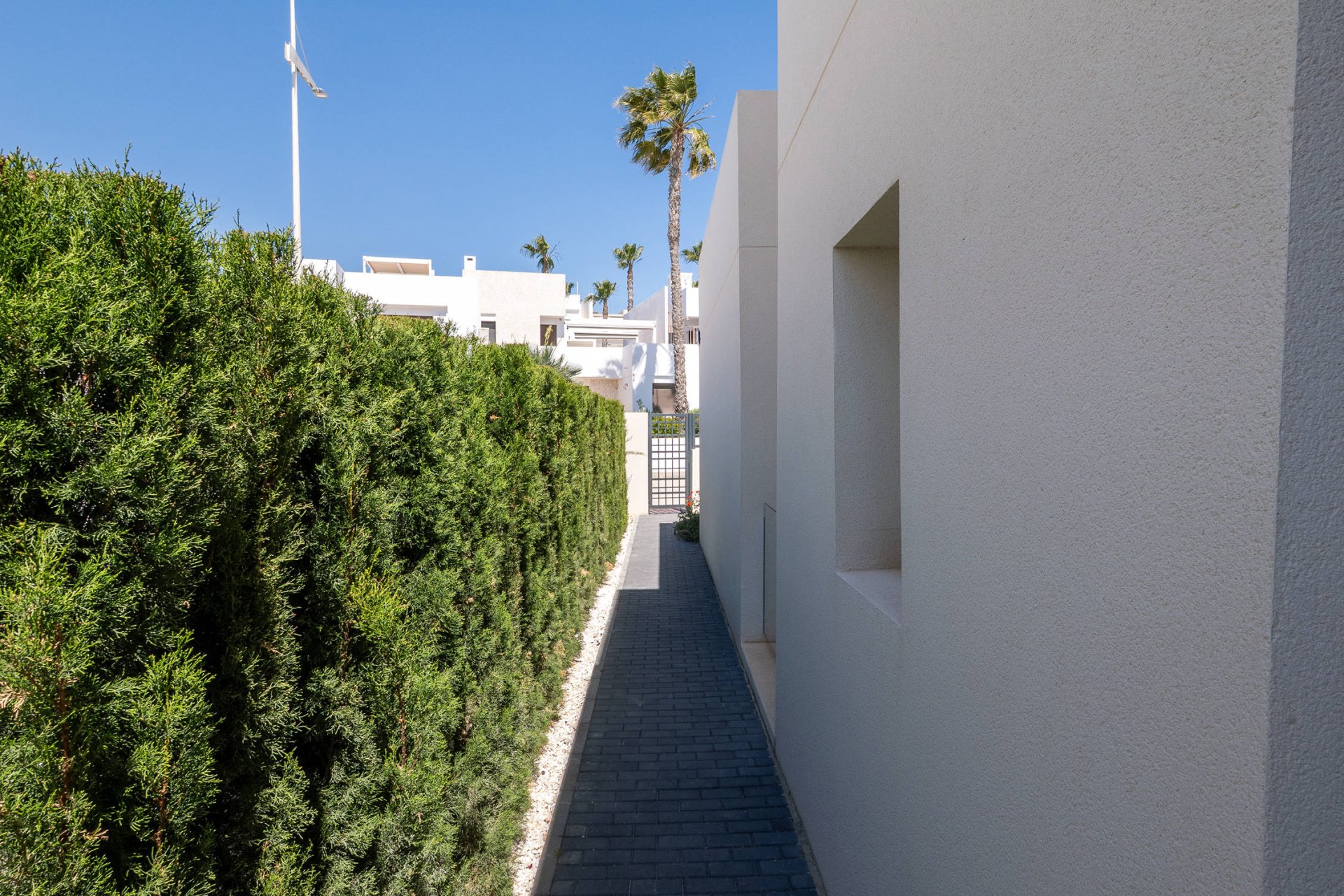 Obra nueva - Casa - Algorfa