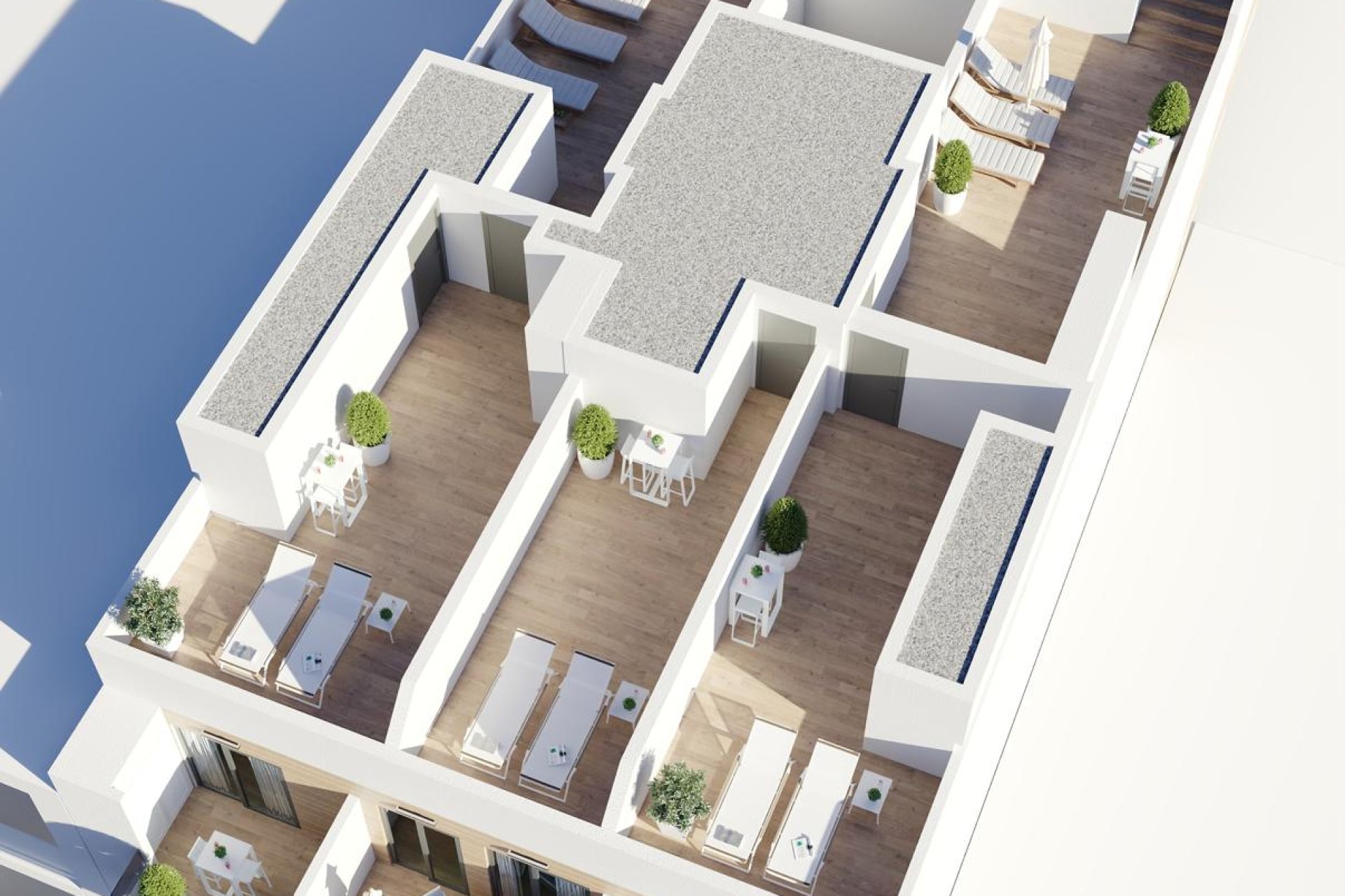 Obra nueva - Apartamento - Torrevieja