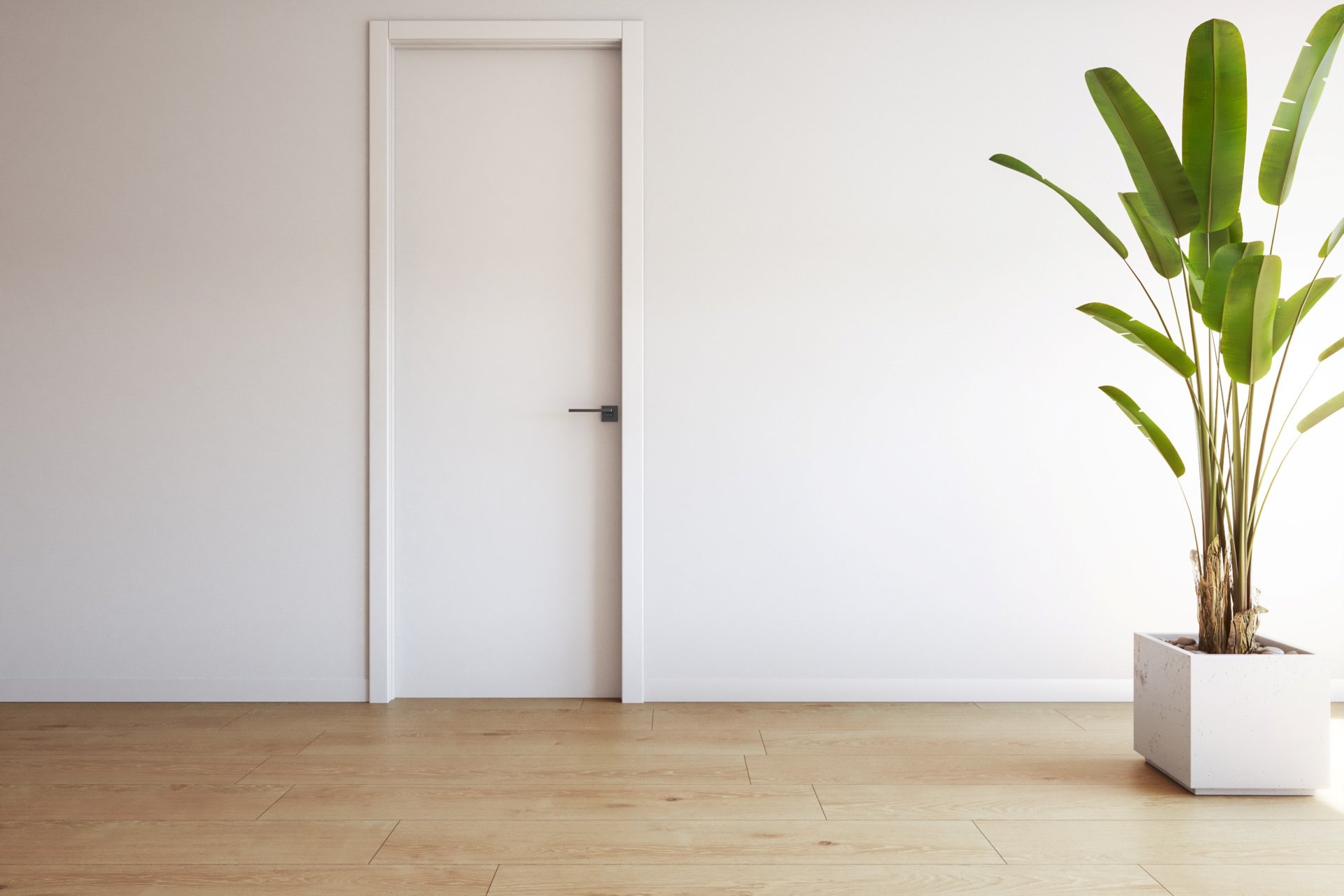 Rynek pierwotny - Apartament - Torrevieja