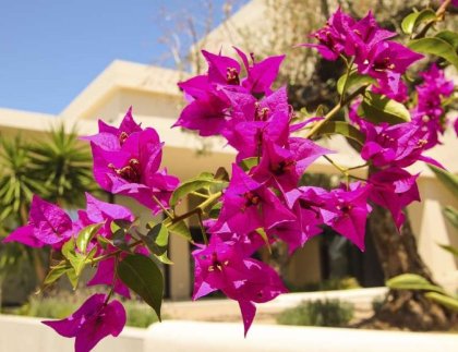 Villa · Obra nueva - La Marina · Alicante · España