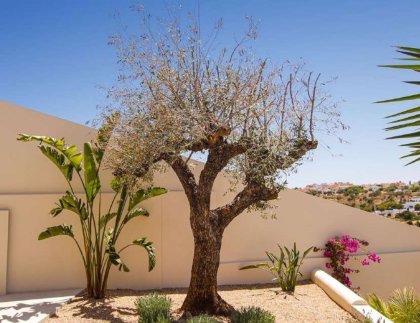 Villa · Obra nueva - La Marina · Alicante · España