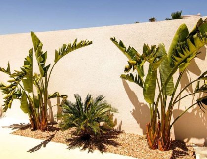Villa · Obra nueva - La Marina · Alicante · España