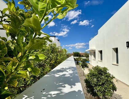 Casa · Obra nueva - Benijofar · Alicante · España