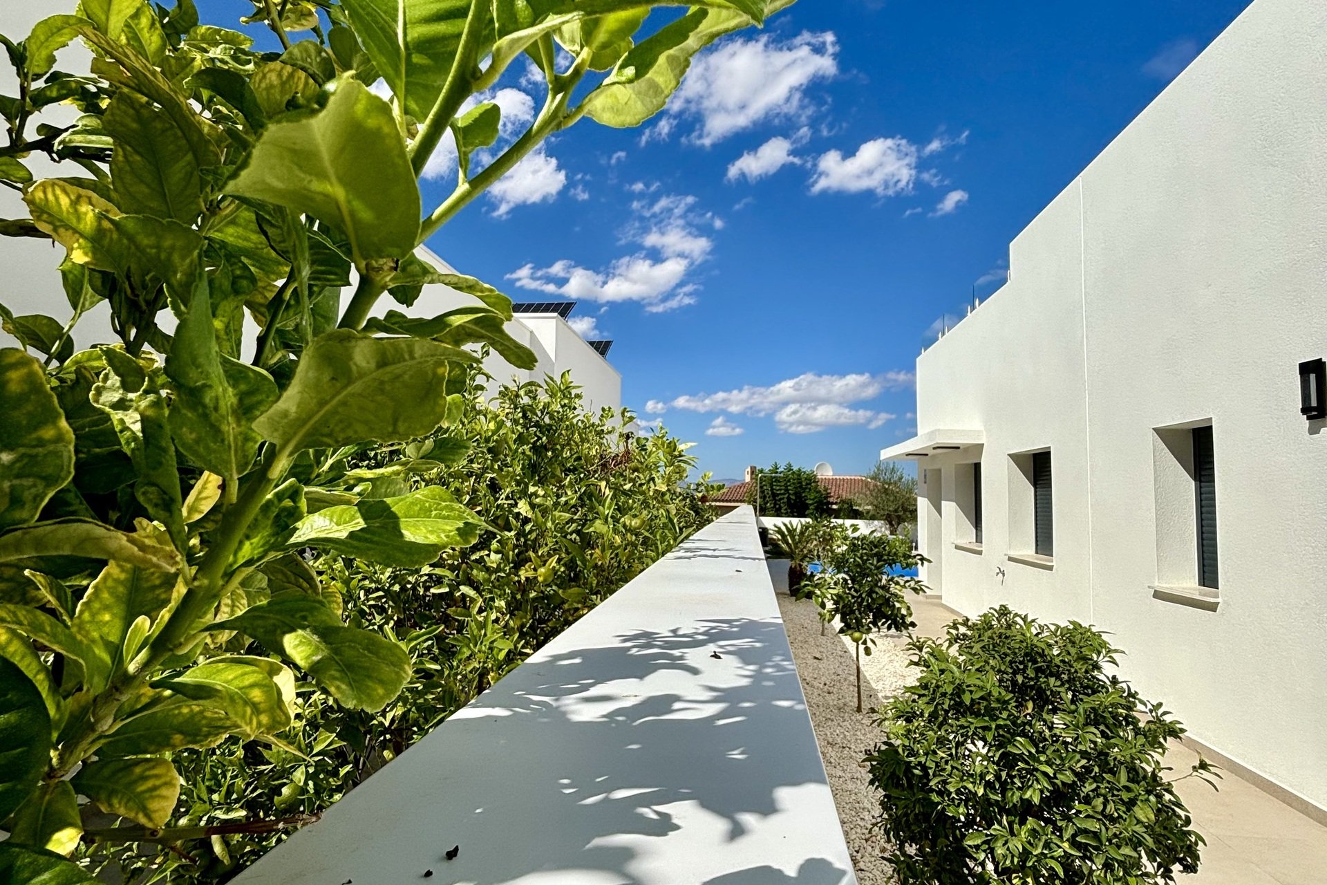 Obra nueva - Casa - Benijofar