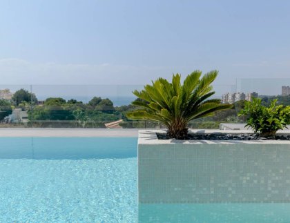 Villa · Obra nueva - Dehesa de Campoamor · Alicante · España
