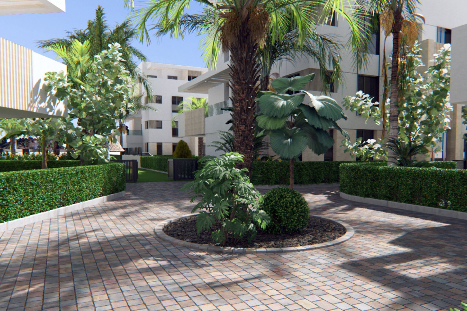 New Build - Penthouse - Santa Rosalía