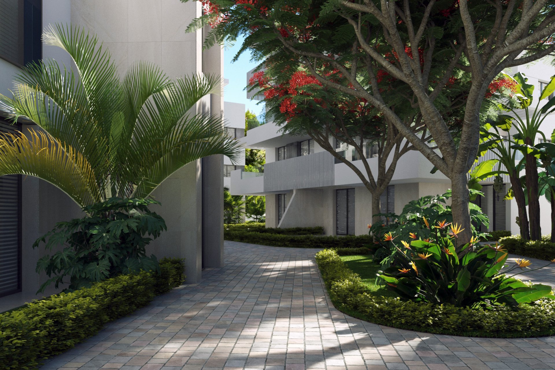 New Build - Penthouse - Santa Rosalía
