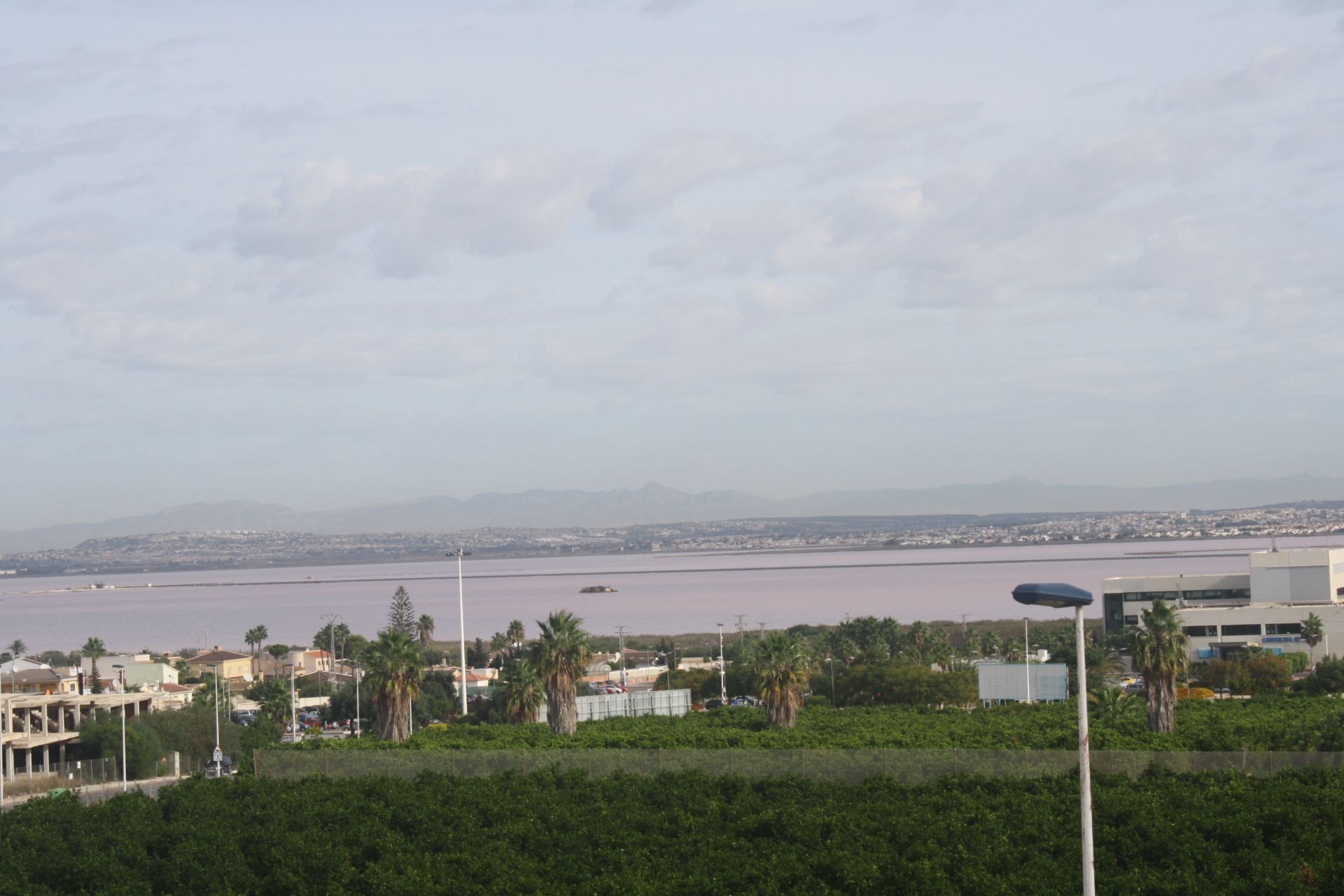 Obra nueva - Pareado - Torrevieja