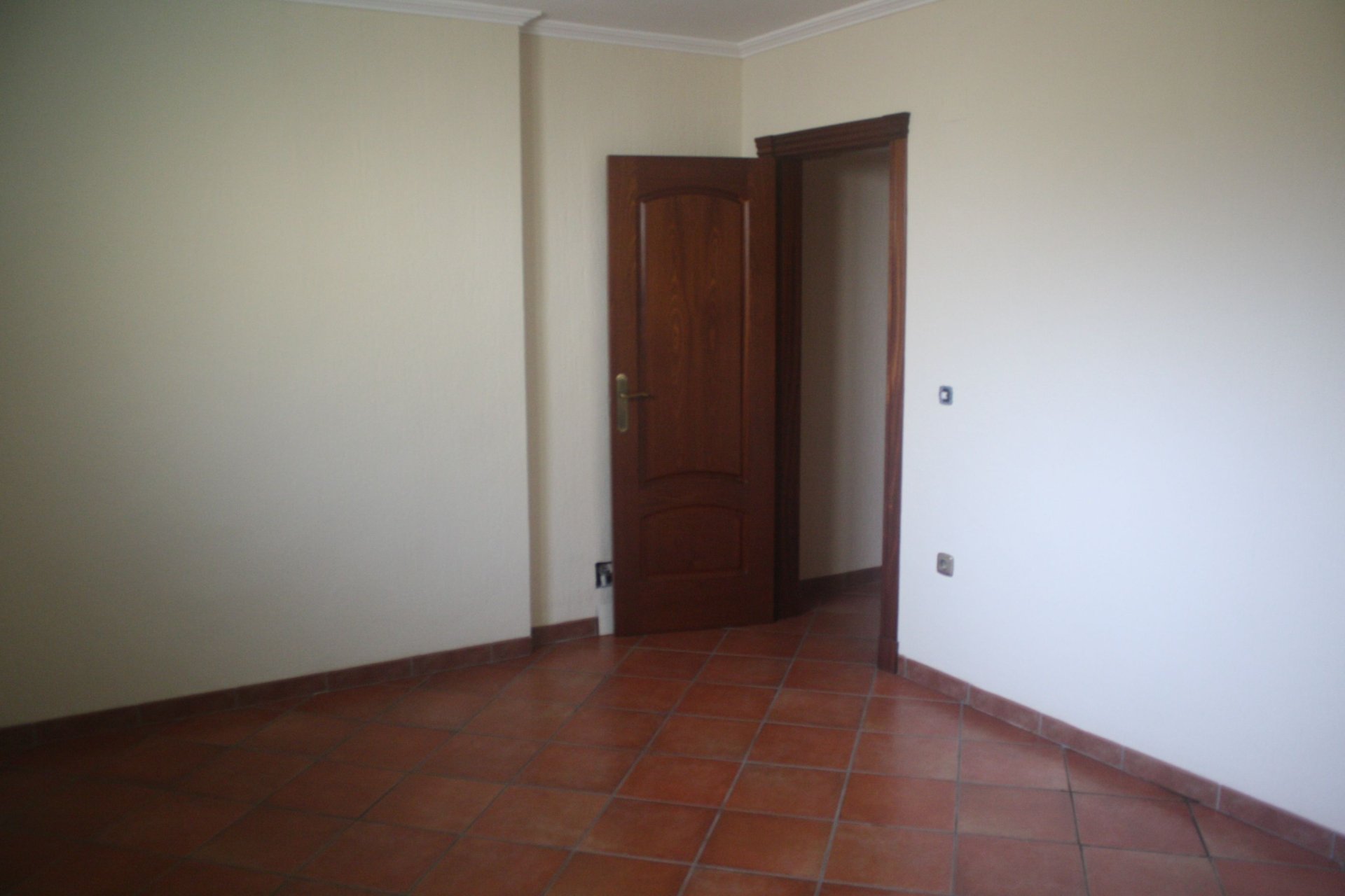 Obra nueva - Pareado - Torrevieja