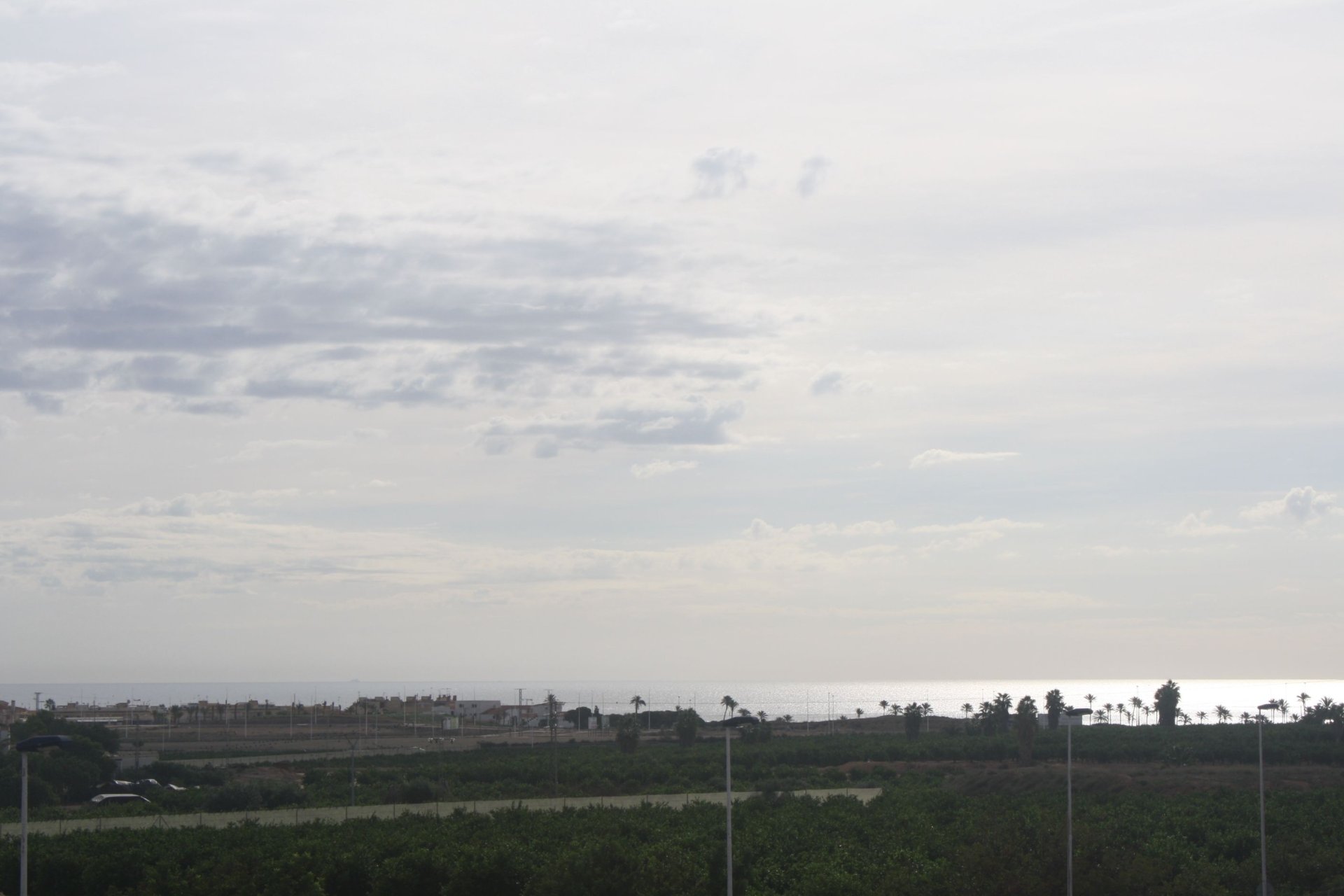 Obra nueva - Pareado - Torrevieja