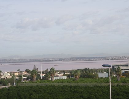 Pareado · Obra nueva - Torrevieja · Alicante · España