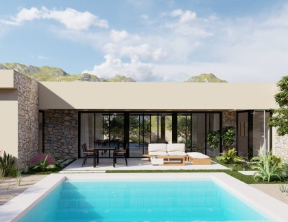 House · New Build - Yecla · Murcia · Spain