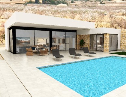 Casa · Obra nueva - Pinoso · Alicante · España