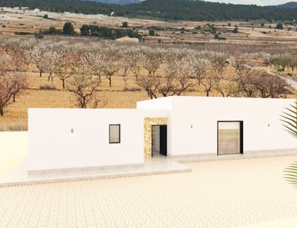 Casa · Obra nueva - Pinoso · Alicante · España