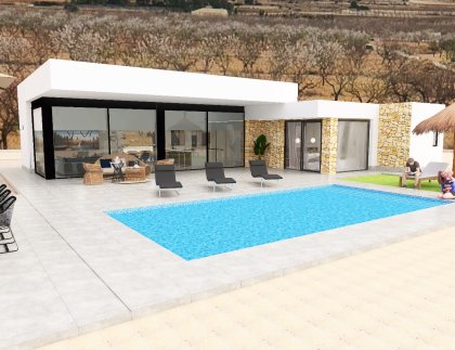 Casa · Obra nueva - Pinoso · Alicante · España