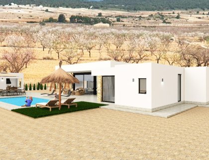 Casa · Obra nueva - Pinoso · Alicante · España