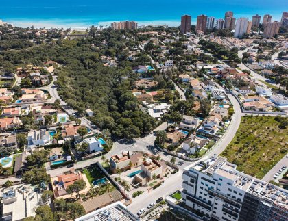 Villa · Obra nueva - Dehesa de Campoamor · Alicante · España